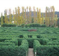 Brookfield Maze - Broome Tourism
