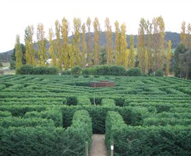 Brookfield Maze - Broome Tourism 0