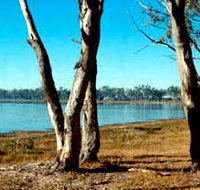 Lake Broadwater Conservation Park - Broome Tourism