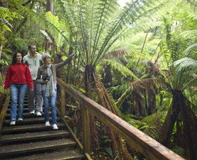 Otway Fly Treetop Adventures - Broome Tourism 0