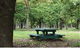 Lindsay Pryor National Arboretum - thumb 1