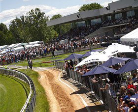 Thoroughbred Park Canberra Racing Club - Horse Racing In The Nations Capital - Broome Tourism 0
