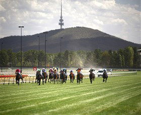 Thoroughbred Park Canberra Racing Club - Horse Racing In The Nations Capital - Broome Tourism 3