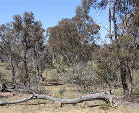 Canberra ACT Broome Tourism