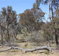 Remembrance Nature Park - Broome Tourism