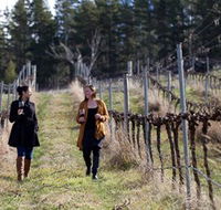 Mount Majura Vineyard - Broome Tourism