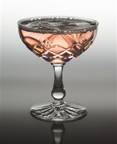 Polit Bar - More Than Cocktails - Broome Tourism 2
