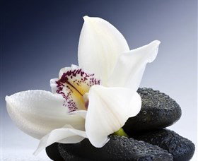 H2O Spa - Broome Tourism 1