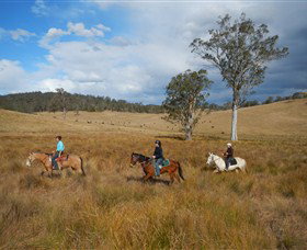 Chapman Valley Horse Riding - Broome Tourism 0