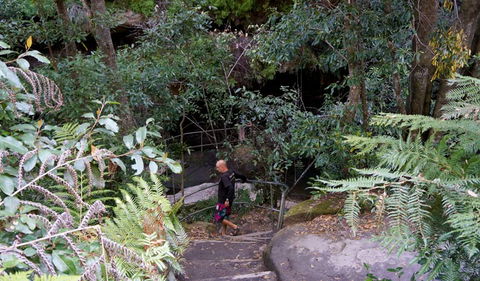 Leura Cascades Fern Bower - Broome Tourism 0
