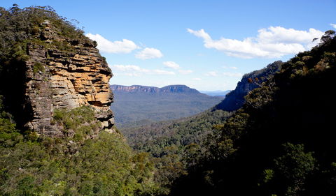 Leura Cascades Fern Bower - Broome Tourism 1