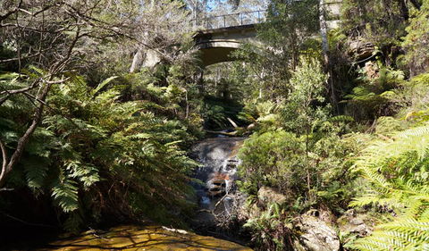 Leura Cascades Fern Bower - Broome Tourism 3