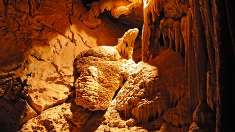 Wombeyan Karst Conservation Reserve - Broome Tourism 2