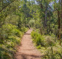 Mares Forest Creek walking track - Broome Tourism