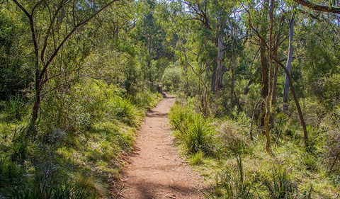 Mares Forest Creek Walking Track - Broome Tourism 0