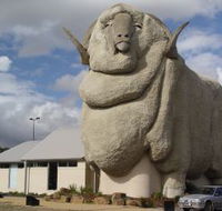 Big Merino - Broome Tourism