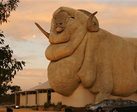 Big Merino - Broome Tourism 3