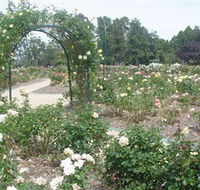 Victoria Park Rose Garden - Broome Tourism