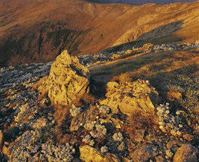 Kosciuszko National Park - Charlottes Pass To Snowy River - Broome Tourism 1