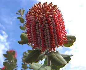 Discovery Bay Tourism Experience - Broome Tourism 2