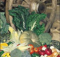 Mulgowie Real Farmers Markets - Broome Tourism