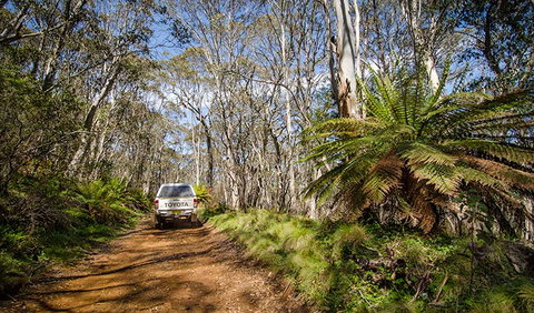 Barrington Trail - Broome Tourism 0