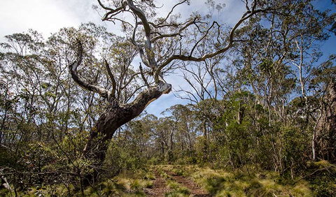 Barrington Trail - Broome Tourism 1