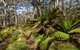 Barrington Trail - thumb 2