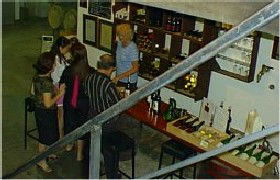 John Kosovich Wines - Broome Tourism 1