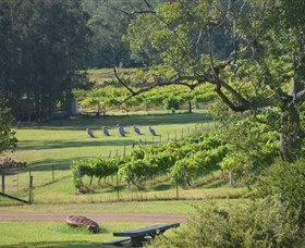 Wollombi Wines - Broome Tourism 8