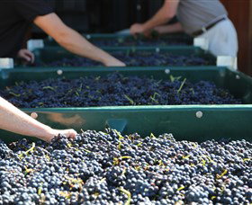 Around Hermitage Wine And Food Trail Hunter Valley - Broome Tourism 6