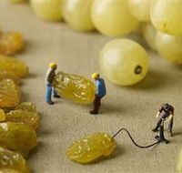 Hunter Valley Wine School - Broome Tourism