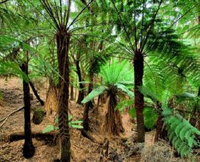 Naracoopa TAS Broome Tourism