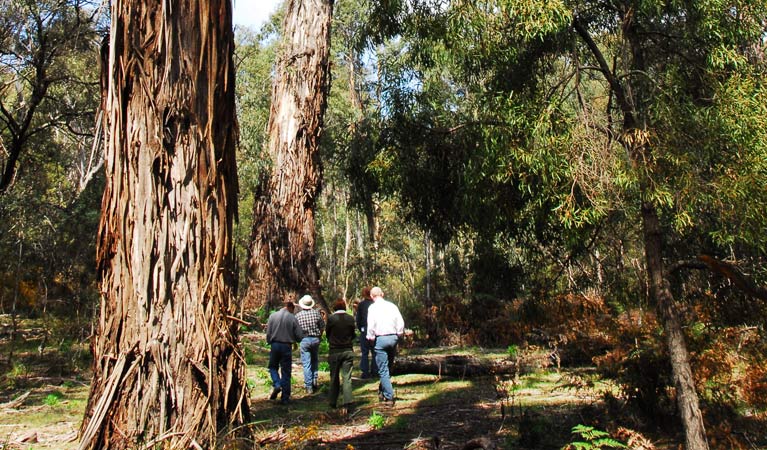 Araluen NSW Broome Tourism