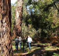 Tallaganda National Park - Broome Tourism