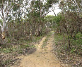 Box Vale Picnic Area - Broome Tourism 4