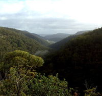 Nattai Gorge Lookout - Broome Tourism