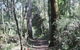 Box Vale Mine Walking Track And Lookout - thumb 0