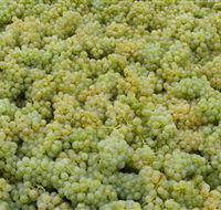 Normanby Wines - Broome Tourism