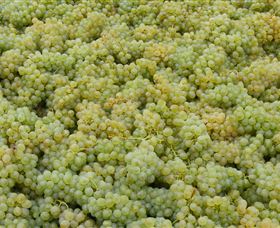 Normanby Wines - Broome Tourism 0