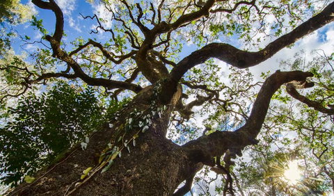 Woko National Park - Broome Tourism 1
