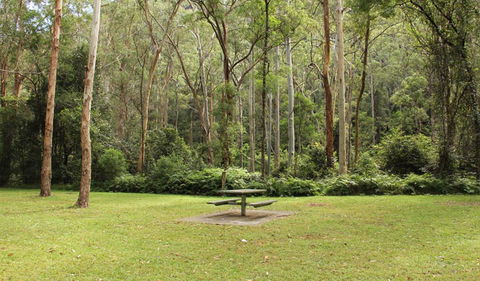 Mill Creek Picnic Area - Broome Tourism 1