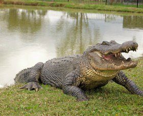 Hunter Valley Zoo - Broome Tourism 1