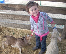 Hunter Valley Zoo - Broome Tourism 4