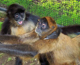 Hunter Valley Zoo - Broome Tourism 5