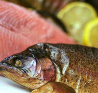 Lovedale Smokehouse Gourmet Pantry Cafe and Masterclasses - Broome Tourism