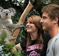 Featherdale Wildlife Park - Broome Tourism