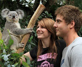 Featherdale Wildlife Park - Broome Tourism 0