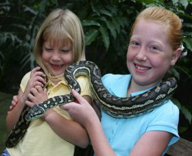 Featherdale Wildlife Park - Broome Tourism 2