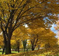 Centennial Park at Cooma - Broome Tourism